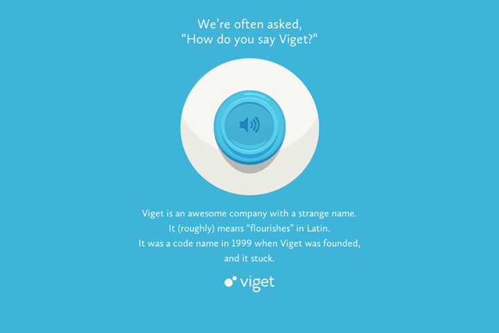 Say Viget website preview